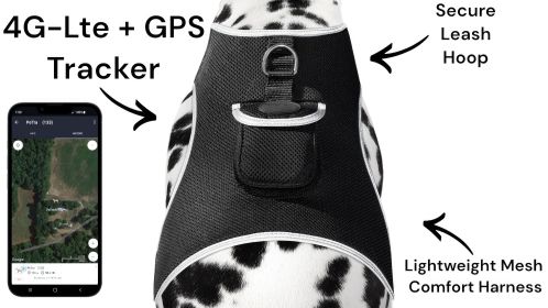 Action Triggered GPS Mobile Pet Tracker Realtime Security Surveillance Size:L