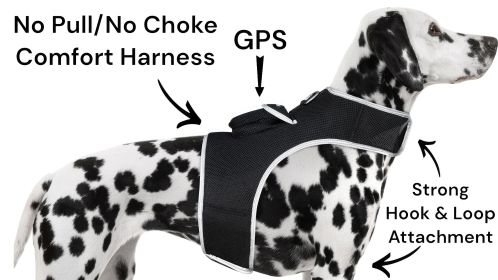 High Accuracy GSM GPS Pet Logger Waterproof Dog Cat Collar Tracker NEW Size:M