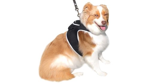 High Quality GPS Pet Tracking Collar Mounted Device Water Resilient Mini Locator Size:L