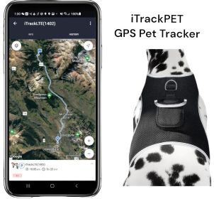 GSM GPS Mini Pet Tracking Dog Collar Mount Tracker Waterproof with App Size:L